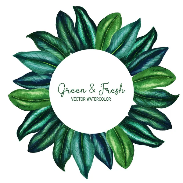 Bannière ronde avec aquarelle dessinée à la main feuilles vert foncé — Image vectorielle