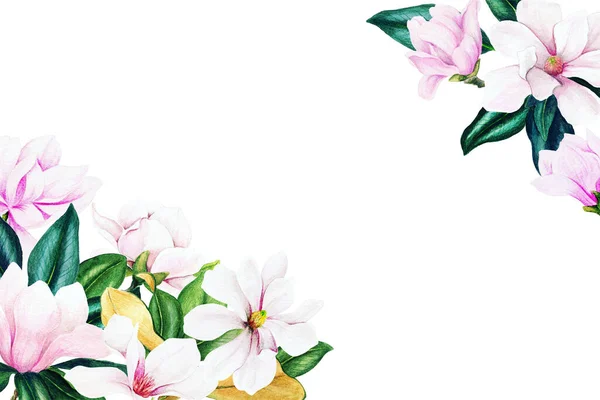 Aquarell Kräuter und Blumen, helle Farben, Eckrahmen — Stockfoto