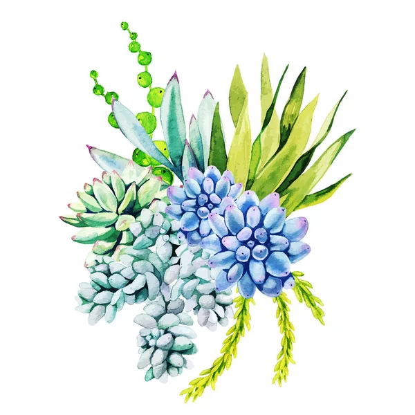 Composition des plantes de cactus aquarelle et des plantes succulentes — Image vectorielle