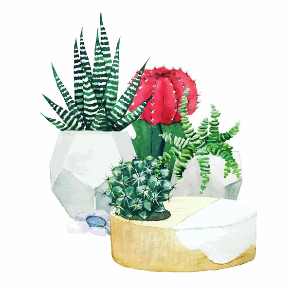 Composición de plantas y suculentas de cactus en macetas — Vector de stock