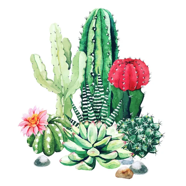 Composition des plantes de cactus aquarelle et des plantes succulentes — Image vectorielle