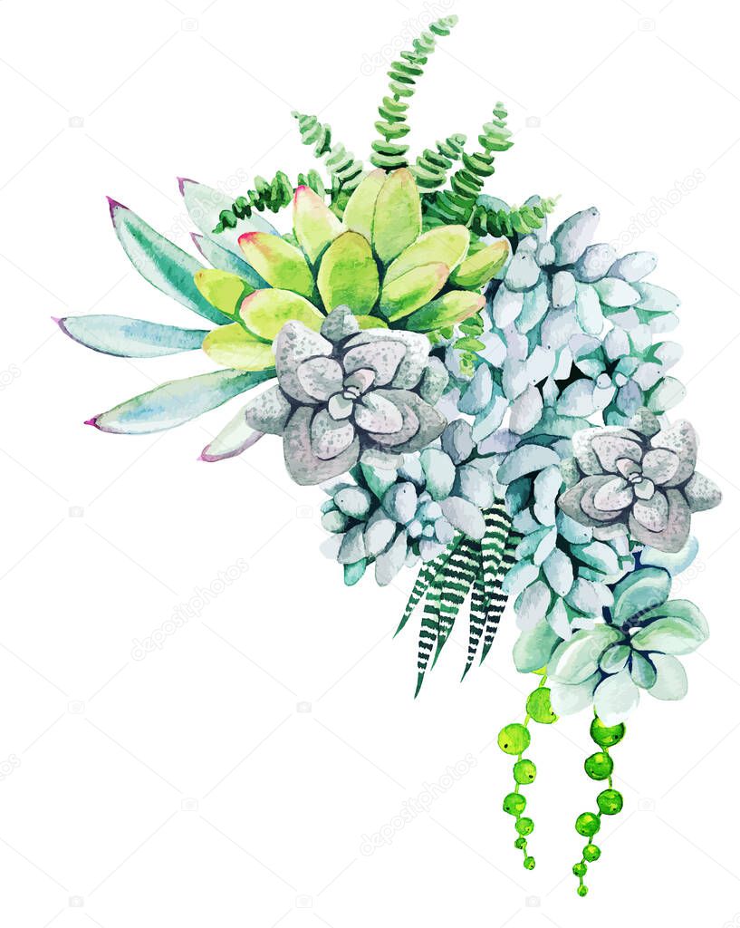 Composition of watercolor cactus plants and succulents