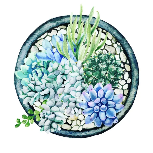 ポット、トップビュー、ライト小石の明るい水彩多肉植物 — ストックベクタ