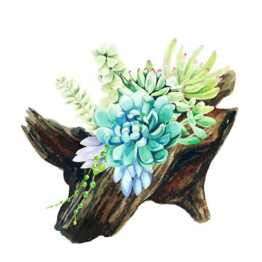 Ahşap kapta büyüyen parlak suluboya suları.