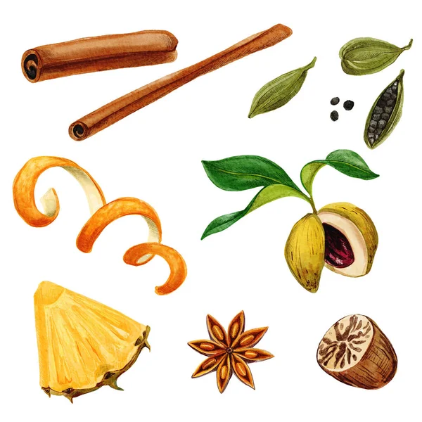 Set of spices including anis star and cinnamon sticks — Stock Photo, Image