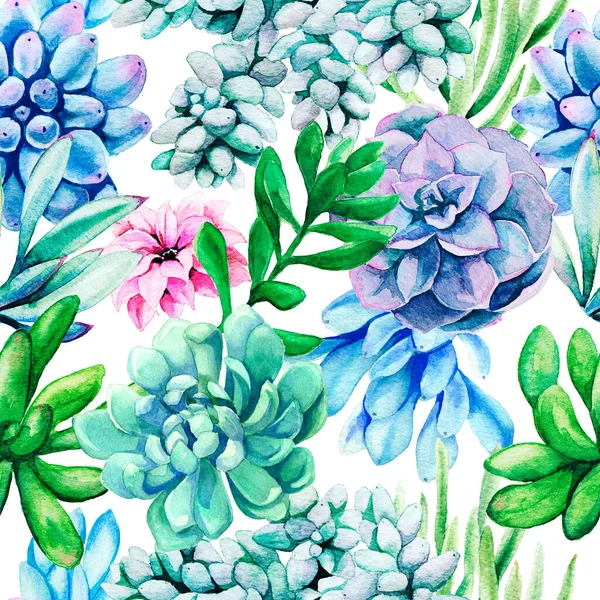 Plantas suculentas aquarela brilhante, padrão têxtil sem costura — Fotografia de Stock