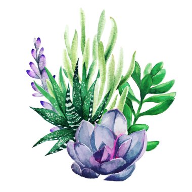 Parlak suluboya bitkiler, küçük renkli buket