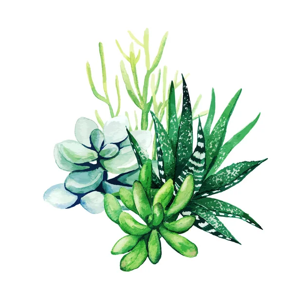 Plantas aquarelas brilhantes, o pequeno buquê de cores — Vetor de Stock