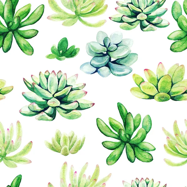 Jasně zelené akvarely šťavnaté rostliny, hladký vzor — Stock fotografie