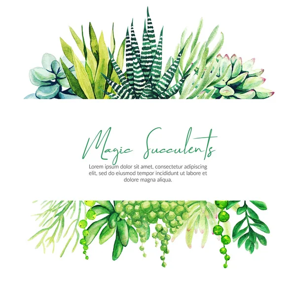 Banner horizontal com cacto aquarela e plantas suculentas — Fotografia de Stock