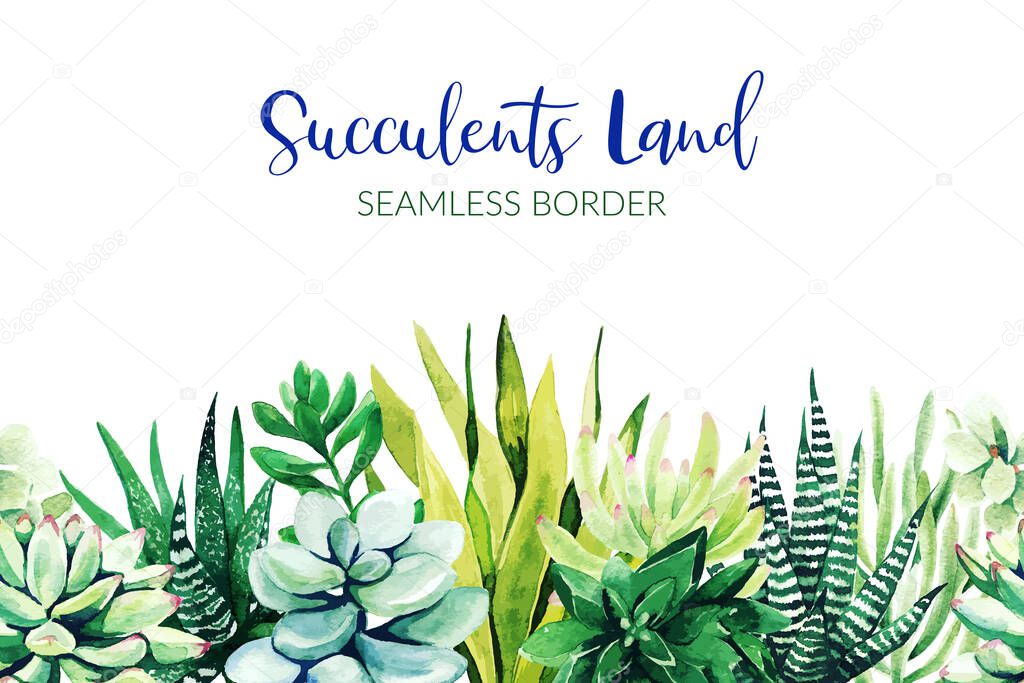 Seamless border composed of succulent plants, hand drawn
