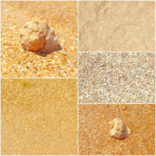 Collage van zomer zee photos, schelpen op zand, instellen van getinte beelden — Stockfoto