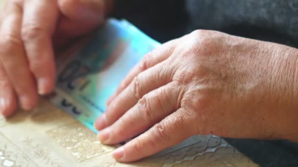 Ανώτερος γυναίκα Καταμέτρηση τραπεζογραμματίων είκοσι ευρώ — Αρχείο Βίντεο