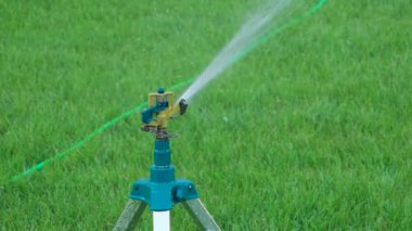 Bahçe yağmurlama çalışma başkanı