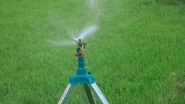 Bahçe yağmurlama kopya alanı yeşil çimenlerin üzerinde çalışma başkanı