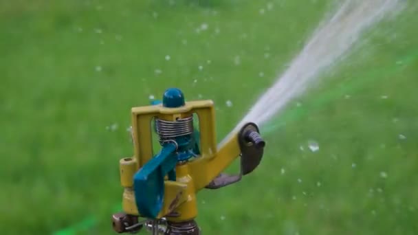 Makro der Gartenbewässerung sustem Arbeit — Stockvideo