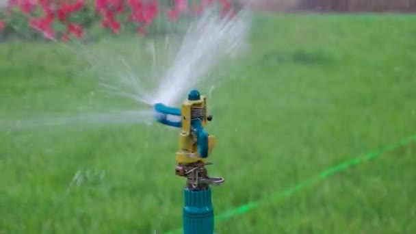 Slowmo av trädgården sprinkler huvud sprida en vatten över gräset — Stockvideo