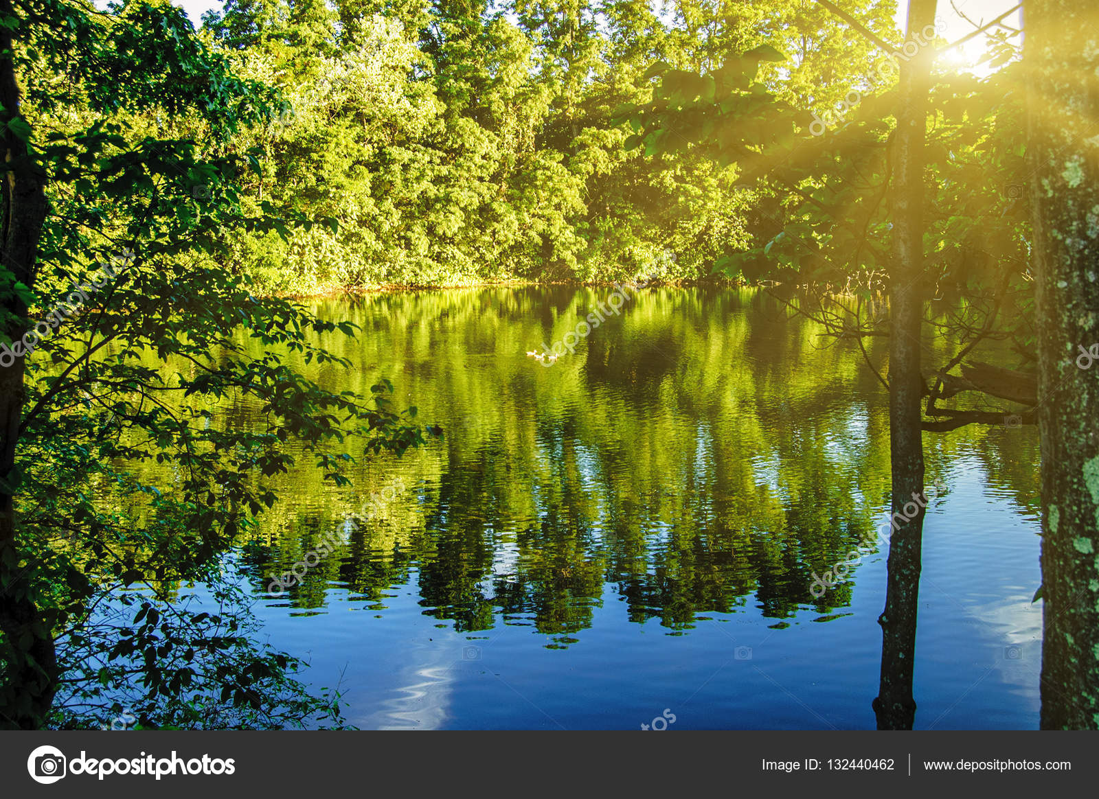 A Peaceful Forest Scene With A Quiet Water Lake Pond Surface With Surrounding Trees Reflection Stock Photo Image By C Mettus