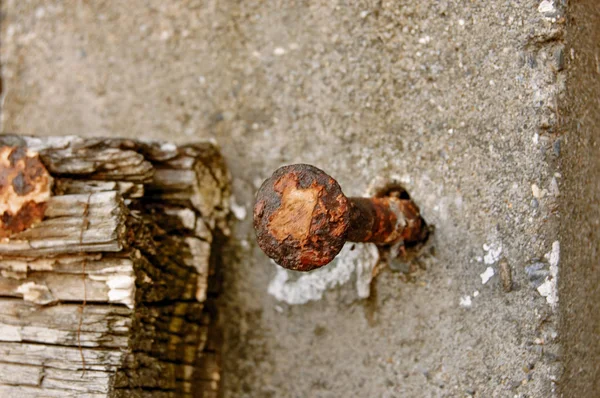 Vieux clou rouillé dans la construction en béton et morceau de bois abandonné — Photo