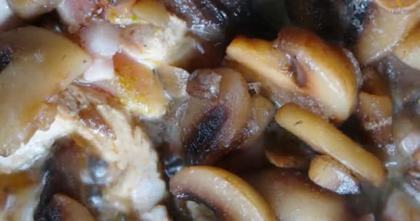 Gebakken champignons Macro bovenaanzicht. — Stockvideo