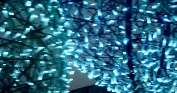 ボールの形の青い色の装飾 — ストック動画