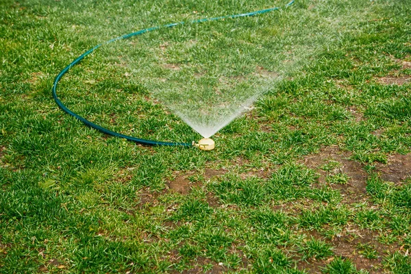 Yard gräs sprinkler. Vatten springer i gräsmattan med hund fläckar. — Stockfoto
