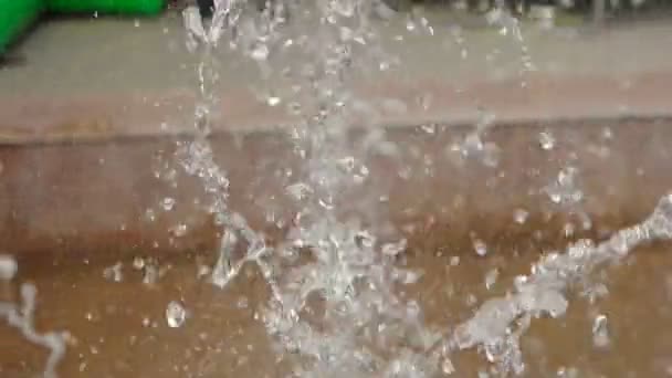 Fountain working in park closeup — Stock Video