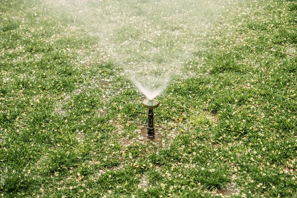 Sprinkler vattning gräsmatta, kopia utrymme — Stockfoto