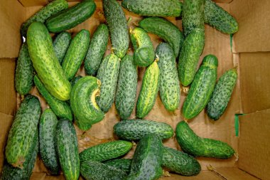 Yukarıdan pazarda salatalık