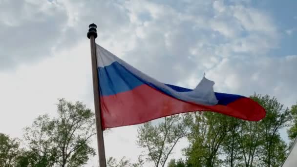 Bandera rusa ondeando en el viento sobre el cielo azul y la parte superior de los árboles — Vídeos de Stock