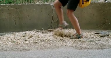 Küçük boy oynayın ekm tohumları ile