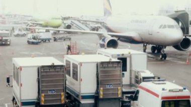Moskova, Rusya 22 Şubat 2016: Domodedovo Havaalanı. Birçok gömlekleri ve parça arazi Crew
