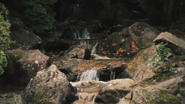 Flujo de agua artificial en el jardín — Vídeos de Stock