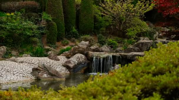 Vijver met kleine waterval in japan tuin met rode herfst bladeren van japan esdoorn, focus op achtergrond — Stockvideo