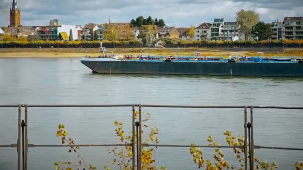 Bonn, Almanya, 26 Ekim 2017: kargo gemisi Ren Nehri üzerinde. Setin Ren Bonn Merkezi görünümünden. — Stok video