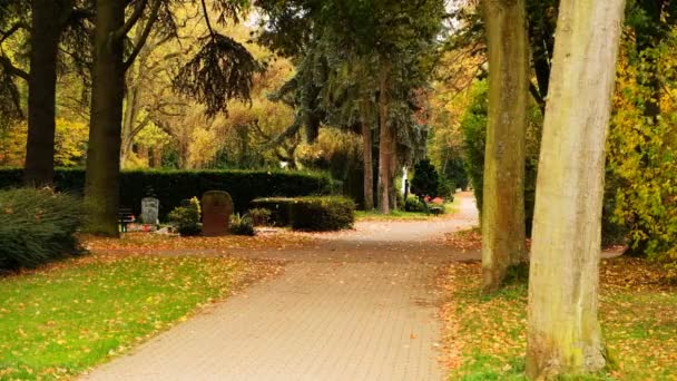 Bonn, Germany, 29 of October 2017: Memorial Park Of Bonn-stadt — Stock Video