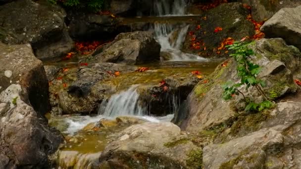 Cascade de rochers dans le ruisseau montagnard — Video