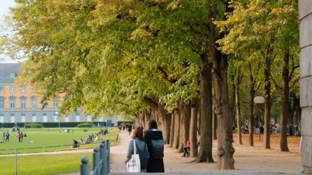 ボン, ドイツの, 11 月 2017 02: 天気の良い紅葉ボン大学の前の公園で学生を休んで — ストック動画