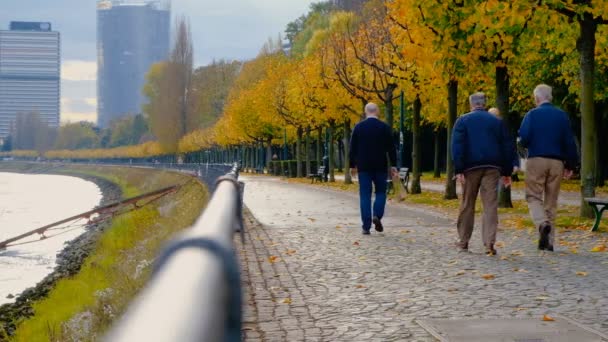Bonn, Alemania: 21 de octubre de 2017: Gente caminando por el terraplén del río Rin — Vídeos de Stock