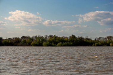 Volga Nehri ve Astrahan adasında ağaçta. Seyahat ve macera manzara şaşırtıcı Rusya, vintage renk
