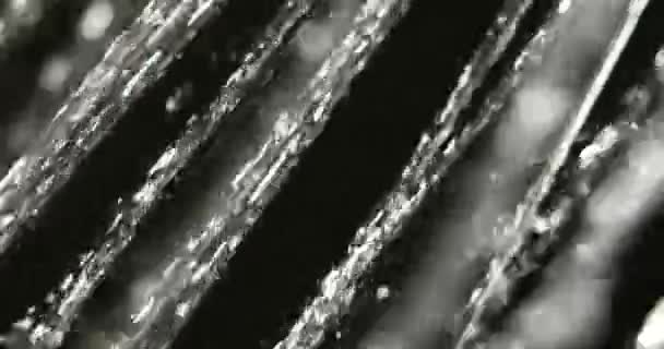 Macro of water flow from shower video — Stockvideo
