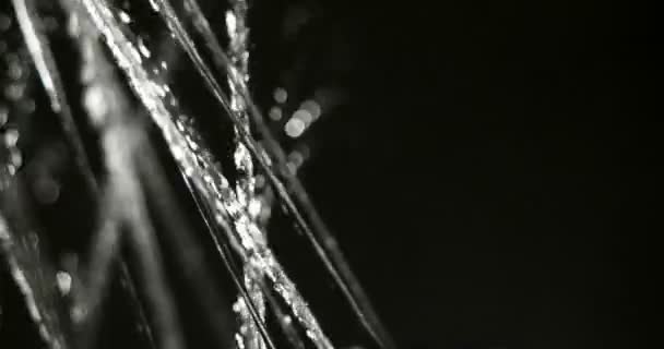 Fluxos de água de chuveiro e espaço de cópia em um lado direito — Vídeo de Stock