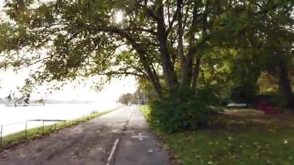 骑在巨大的橡木4k 50fps夹下的莱茵河堤岸上 — 图库视频影像