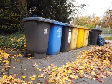 Bonn Almanya, 12 Kasım 2019: Sonbahar caddesinde ayrı koleksiyonlar için çöp tenekeleri servis elemanlarını bekliyor