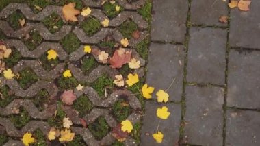 Pov kaldırımda yürüyor fayans deliklerinde yosunlarla