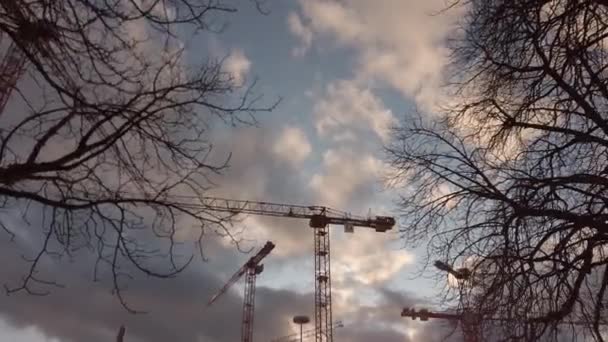 Bonn Almanya, takriben Aralık 2019: Günbatımında çalışan inşaat vinçleri, hiperzamanlaması. — Stok video
