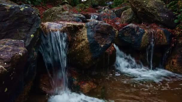 Artificial waterfall in a Japanese garden. Clear water falls and foams — 비디오