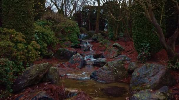 Panorama del giardino giapponese con un ruscello veloce e un lago tranquillo in inverno — Video Stock