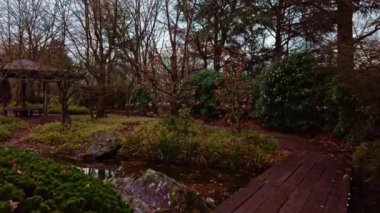 Walk through the Japanese garden in winter
