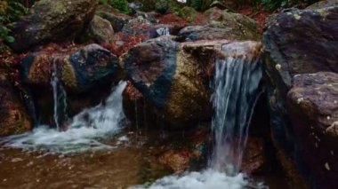 The flow of water falls down in the form of a waterfall. A small waterfall on wild stones in a Japanese garden